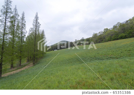 永川,Seosan-si,忠南 永川,Seosan-si,忠南 65351386