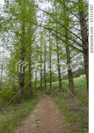 Yongkeung, Seosan-si, Chungnam 65351407