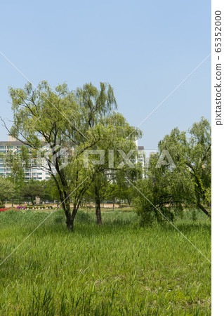 Ansan, Gyeonggi-do 65352000