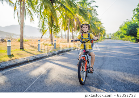 Active school kid boy in safety helmet riding a bike with backpack on sunny day. Happy child biking 65352758