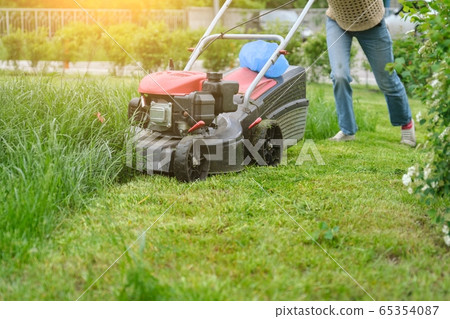 Gardener woman legs mowing grass with lawnmower, city courtyard of an apartment building 65354087