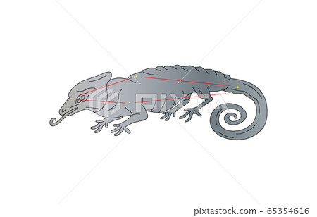 88星座變色龍座位 65354616