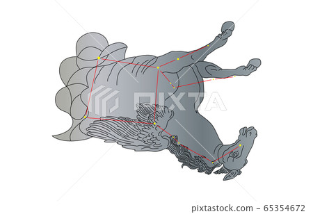 88 Constellation Pegasus 65354672