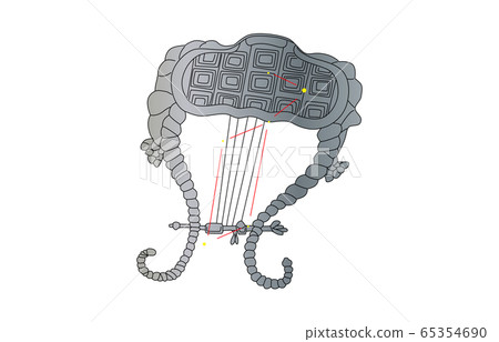 88星座十二生肖 65354690