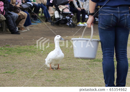 母親農場春鴨大遊行 65354982