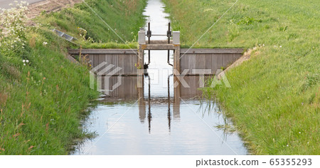 Meadow with a ditch in the Netherlands Meadow with a ditch in the Netherlands 65355293