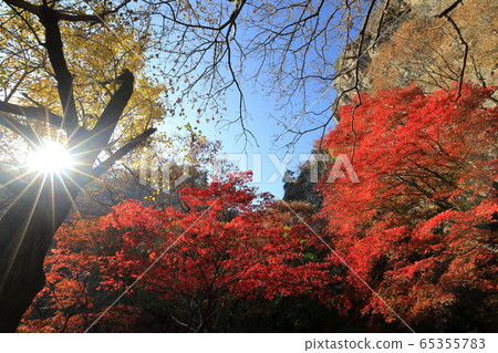 Beautiful autumn forest 65355783