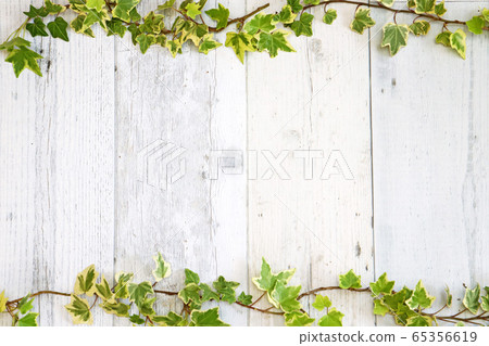 Shabby board background material of white paint with English Ivy leaf decoration 65356619