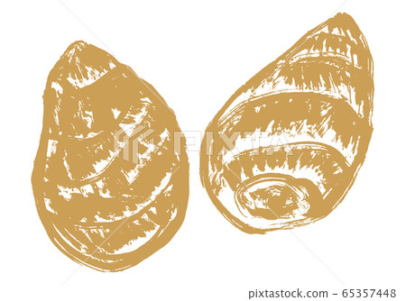 Taro watercolor painting - Stock Illustration [65357448] - PIXTA