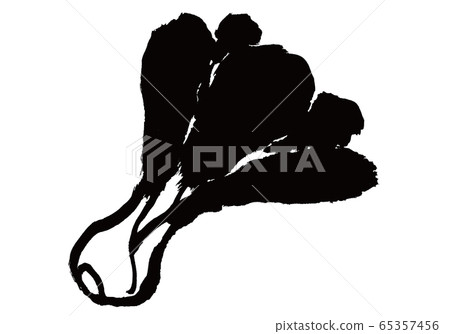 白菜水彩 65357456