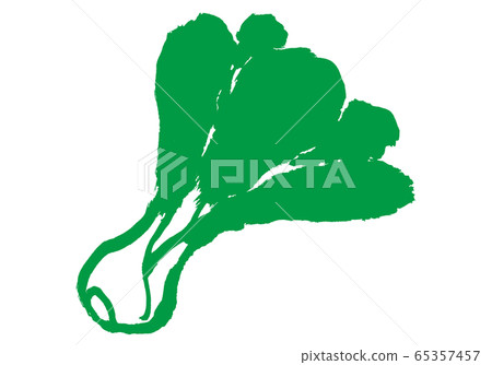 白菜水彩 65357457