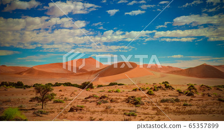 Sand dunes Namib-Naukluft national park in Namibia Sand dunes Namib-Naukluft national park in Namibia 65357899
