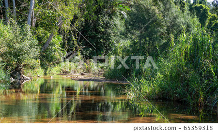 Still And Tranquil Country Creek 65359318