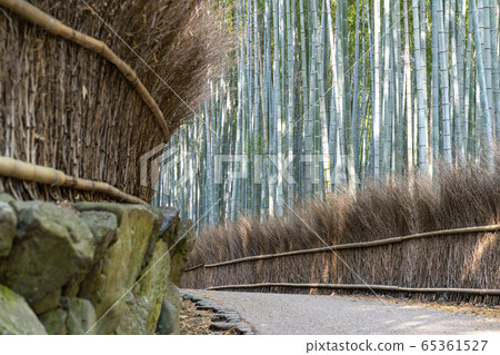京都嵐山竹林小直徑 京都嵐山竹林小直徑 65361527