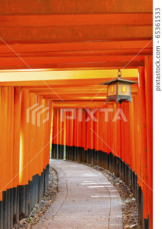 Kyoto Fushimi Inari Senbon Torii Kyoto Fushimi Inari Senbon Torii 65361533