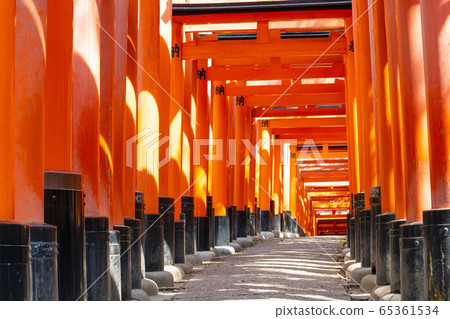 Kyoto Fushimi Inari Senbon Torii 65361534