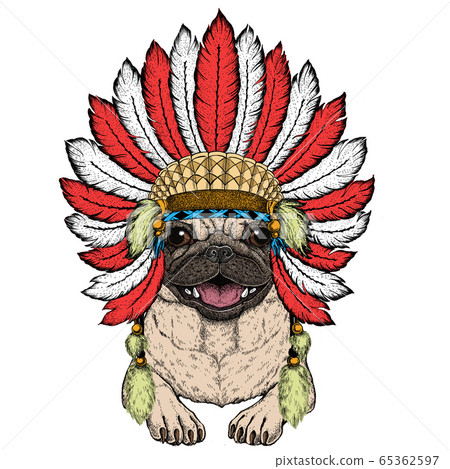 Pug. Cute animal portrait. Dog head. Pug. Cute animal portrait. Dog head. 65362597
