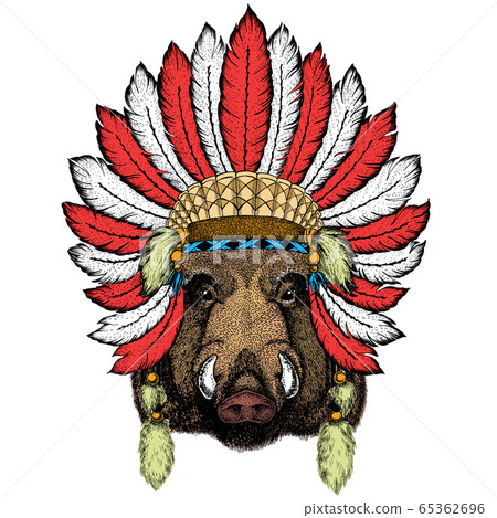 Portrait of wild hog, boar, pig. Face of brave animal. Indian headdress with feathers. Boho style. Portrait of wild hog, boar, pig. Face of brave animal. Indian headdress with feathers. Boho style. 65362696