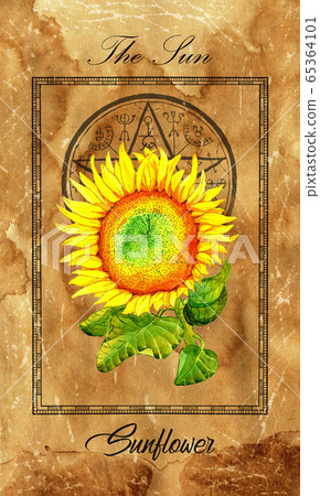 The Sun. Major Arcana tarot card with Sunflower and magic seal. Full vintage deck Enchanted Flowers. Hand drawn illustration with botanical symbols. Gothic, occult and esoteric background The Sun. Major Arcana tarot card with Sunflower and magic seal. Full vintage deck Enchanted Flowers. Hand drawn illustration with botanical symbols. Gothic, occult and esoteric background 65364101
