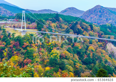 九州夢大樽橋的秋天景色[大分縣九州郡] 65364928