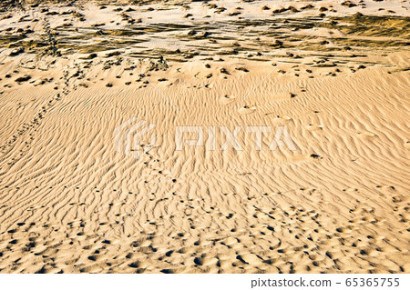 Patterns of lines, waves, footprints and dry grass in nordic dunes of Curonian spit, Nida, Klaipeda, Lithuania. Desert, eternity, beauty, calm feeling 65365755
