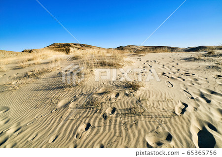 Patterns of lines, waves, footprints and dry grass in nordic dunes of Curonian spit, Nida, Klaipeda, Lithuania. Desert, eternity, beauty, calm feeling 65365756
