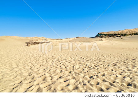 Beautiful calm view of nordic sand dunes at Curonian spit, Nida, Klaipeda, Lithuania. Buried wood, desert and sand, sunny blue sky. Beautiful calm view of nordic sand dunes at Curonian spit, Nida, Klaipeda, Lithuania. Buried wood, desert and sand, sunny blue sky. 65366016