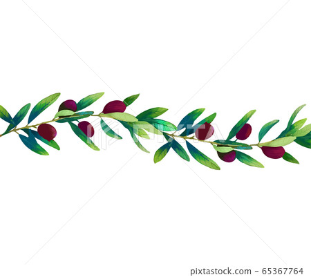 Elegant beautiful leaves and fruits floral illustration 65367764