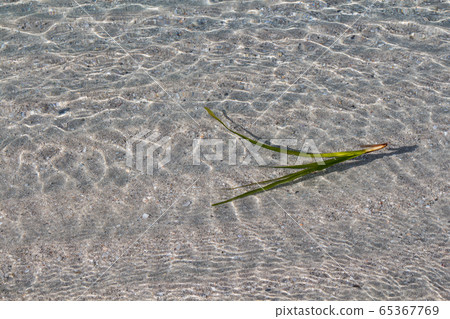 Clean sea at Alghero, Sardinia 65367769