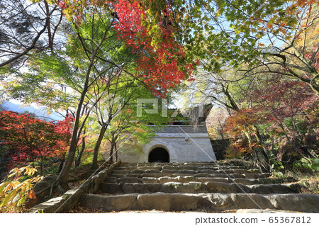 Autumn forest and traditional Korean architecture Autumn forest and traditional Korean architecture 65367812