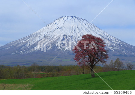 Mount Yotei Stock Photo