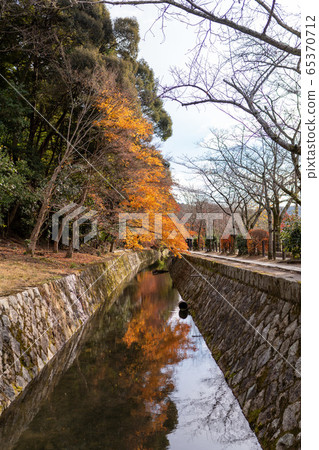 Autumn leaves on the road of Kyoto and philosophy Autumn leaves on the road of Kyoto and philosophy 65370712