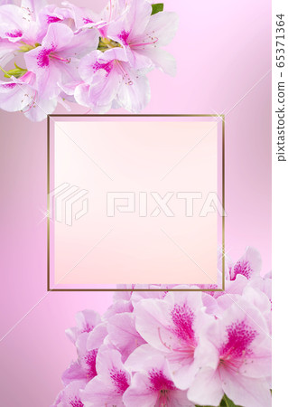 Lovely pink image Lovely pink image 65371364