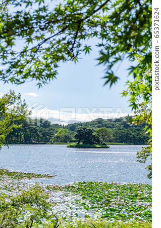 福島縣南湖公園白川市民的休閒場所 福島縣南湖公園白川市民的休閒場所 65371624