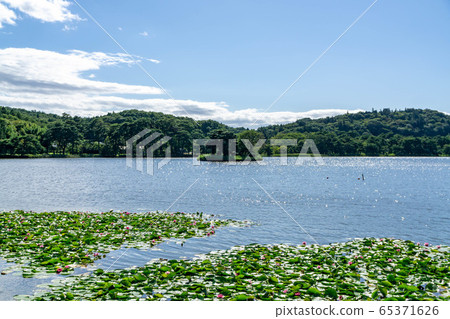 福島縣南湖公園白川市民的休閒場所 福島縣南湖公園白川市民的休閒場所 65371626