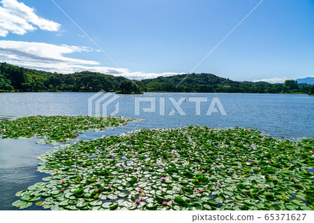 福島縣南湖公園白川市民的休閒場所 65371627