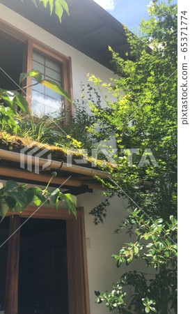 garden garden 65371774