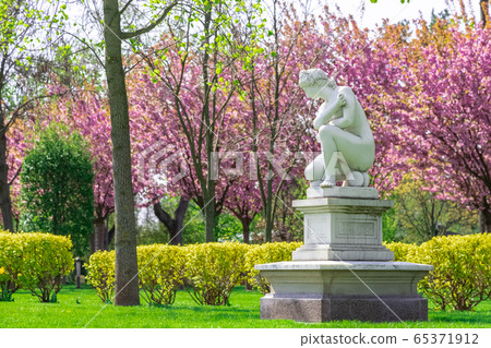 Marbel statue woman in the park. Marbel statue woman in the park. 65371912