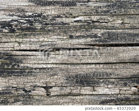 Rough wood surface 65372020
