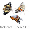 Monarch yellow butterfly on transparent background. Flying butterfly. Icon set. 3d illustration. 65372310