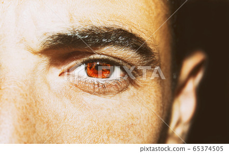 A beautiful insightful look eye. Close up shot. A beautiful insightful look eye. Close up shot. 65374505