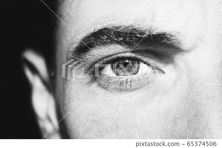 A beautiful insightful look eye. Close up shot. A beautiful insightful look eye. Close up shot. 65374506