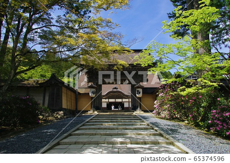 和歌山縣伊東郡高野町鮮綠的高野山金剛寺的前面 和歌山縣伊東郡高野町鮮綠的高野山金剛寺的前面 65374596