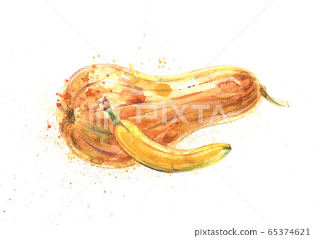 Banana and squash, pumpkin, watercolor illustration Banana and squash, pumpkin, watercolor illustration 65374621