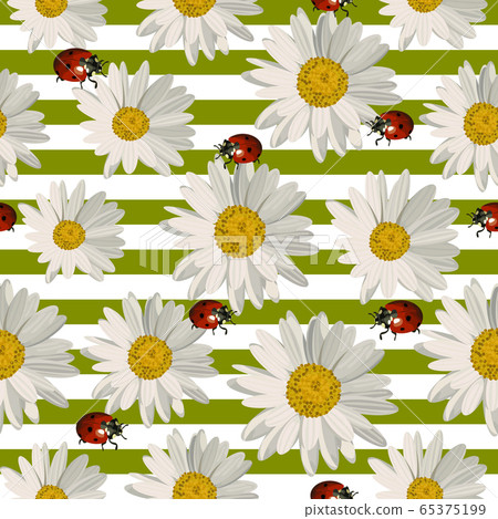 Seamless pattern with daisy flowers and ladybugs. Seamless pattern with daisy flowers and ladybugs. 65375199