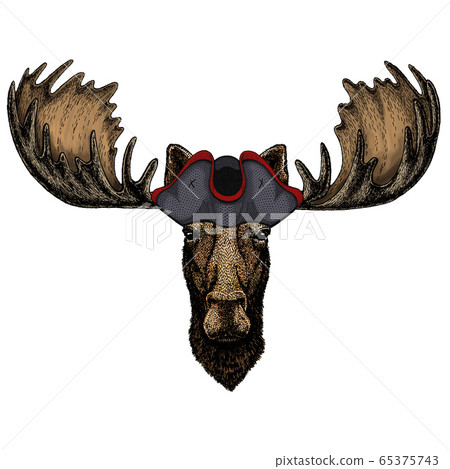 Moose head. Portrait of funny animal. Cocked hat. 65375743
