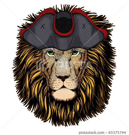Lion head. Wild animal portrait. Face of african cat. Cocked hat. 65375744