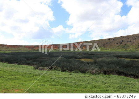 Wetlands in Rano Larak, Easter Island Wetlands in Rano Larak, Easter Island 65375749