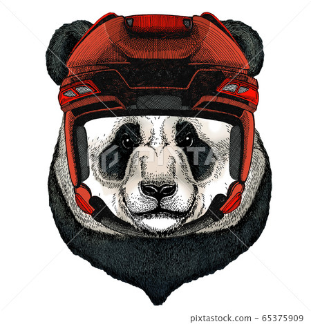 Big panda, bamboo bear portrait. Face of cute animal. Bear head. 65375909