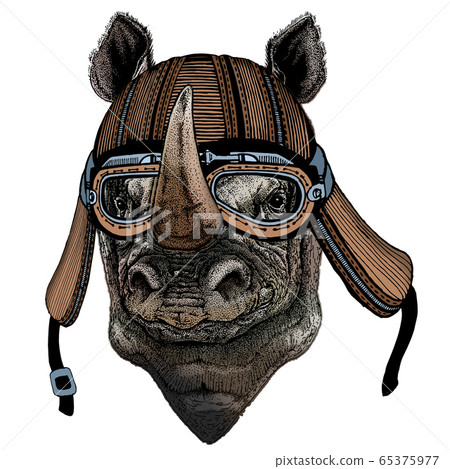 Rhinoceros, rhino portrait. Head of wild animal. Motorcycle helmet. Rhinoceros, rhino portrait. Head of wild animal. Motorcycle helmet. 65375977